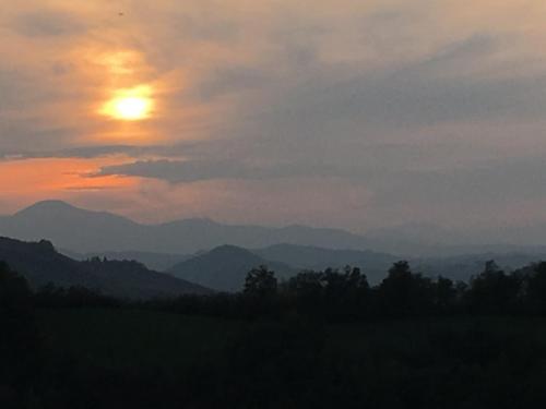 Terre di Matilde di Canossa